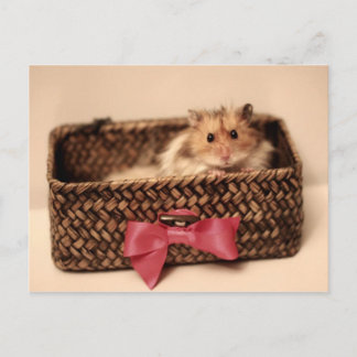 Cute PetL0ve briefkaart