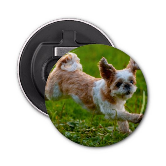 Cute Photo Running Shih Tzu Dog Button Flesopener (Voorkant)