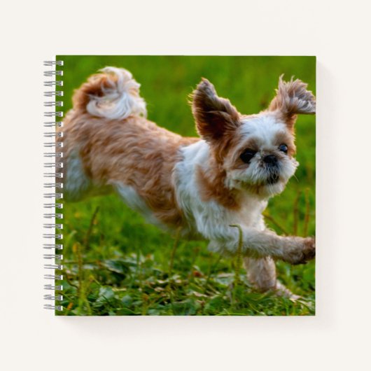 Cute Photo Running Shih Tzu Dog Notitieboek (Voorkant)