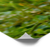 Cute Photo Running Shih Tzu Dog Poster (Hoek)