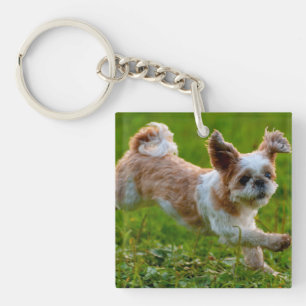 Cute Photo Running Shih Tzu Dog Sleutelhanger
