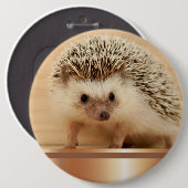 Cute Photographic Hedégel Button Pin (Voorkant /achterkant)