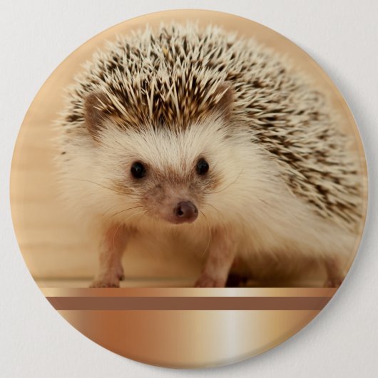 Cute Photographic Hedégel Button Pin (Voorkant)