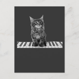 Cute Piano Cat Pianist Keyboard Player Briefkaart