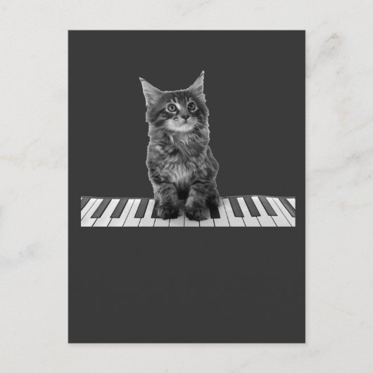 Cute Piano Cat Pianist Keyboard Player Briefkaart (Voorkant)