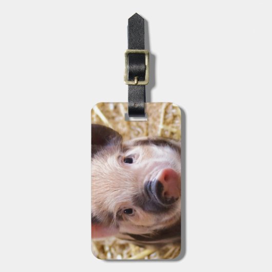 Cute Pic van een baby Pig Bagagelabel (Voorkant verticaal)