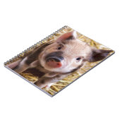 Cute Pic van een baby Pig Notitieboek (Linkerzijde)