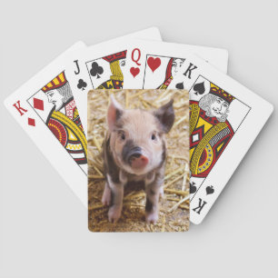 Cute Pic van een baby Pig Speelkaarten
