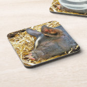 CUTE PIG BIER ONDERZETTER (Linkerzijde)