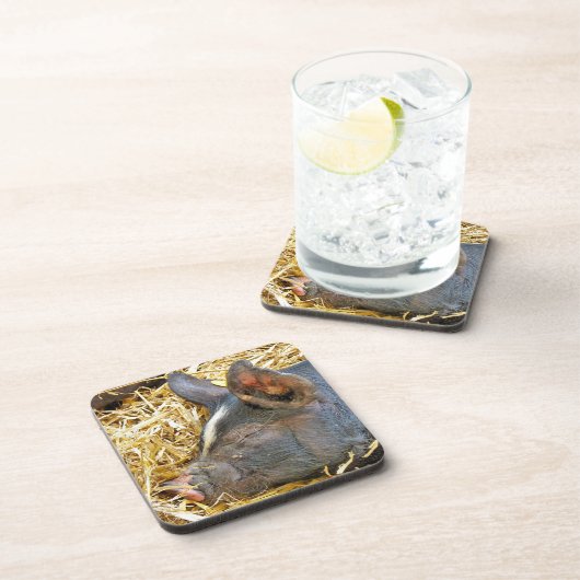 CUTE PIG BIER ONDERZETTER (Rechterzijde)