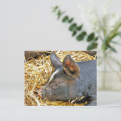 CUTE PIG BRIEFKAART (Staand voorkant)