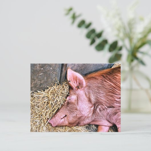 CUTE PIG BRIEFKAART (Staand voorkant)