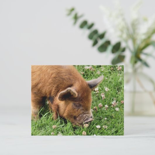 CUTE PIG BRIEFKAART (Staand voorkant)