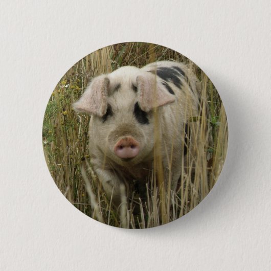 Cute Pig Button (Voorkant)