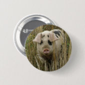 Cute Pig Button (Voorkant /achterkant)