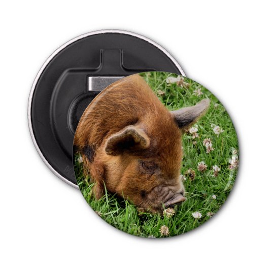 CUTE PIG BUTTON FLESOPENER (Voorkant)