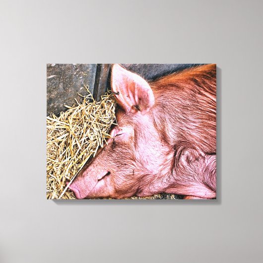 CUTE PIG CANVAS AFDRUK (Voorkant)