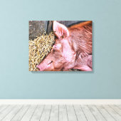 CUTE PIG CANVAS AFDRUK (Insitu (Houten vloer))