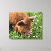 CUTE PIG CANVAS AFDRUK (Voorkant)