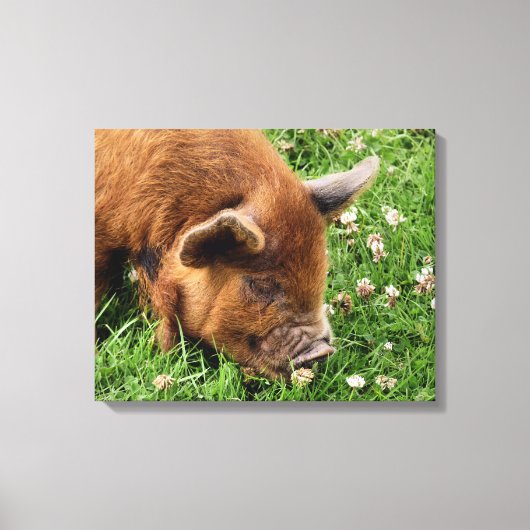 CUTE PIG CANVAS AFDRUK (Voorkant)