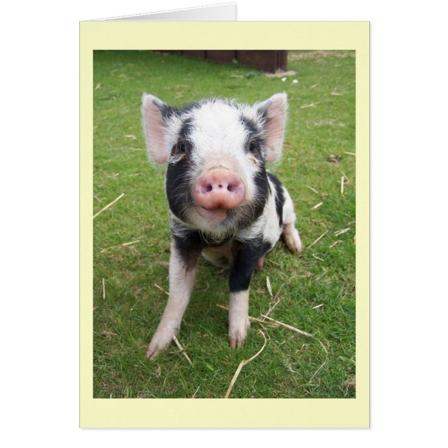 Cute Pig Card (Voorkant)