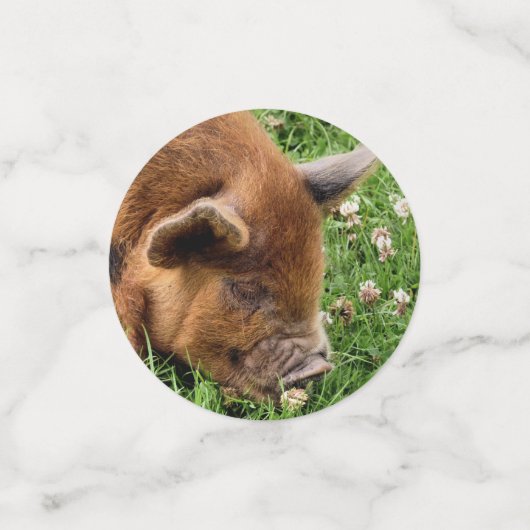 CUTE PIG CONFETTI (Kleine voorkant)