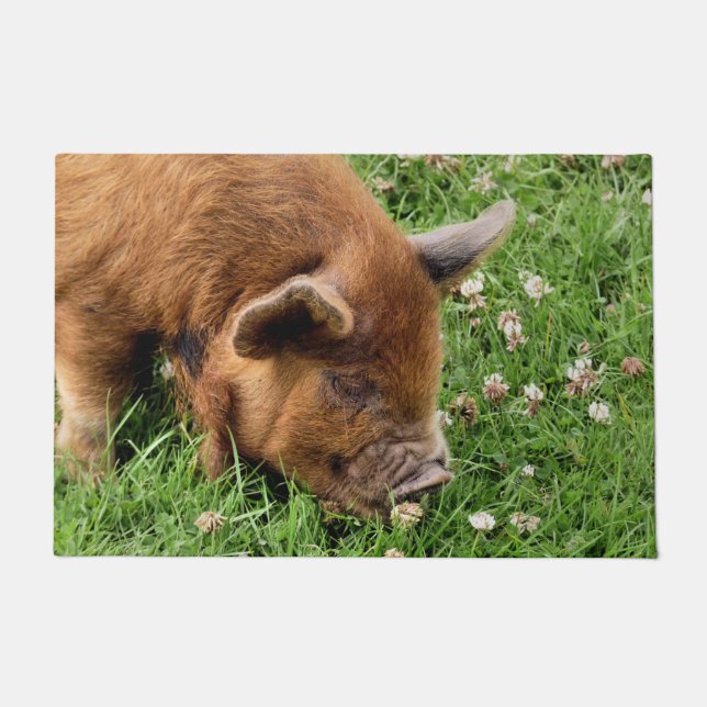 CUTE PIG DEURMAT (Voorkant)