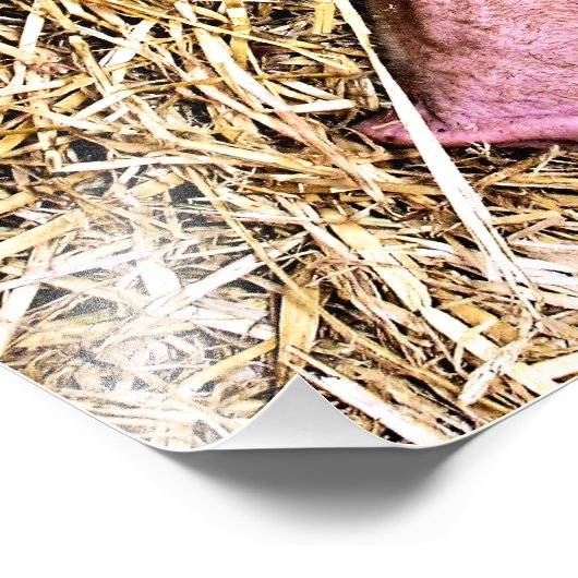 CUTE PIG FOTO AFDRUK (Hoek)