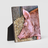 CUTE PIG FOTOPLAAT (Voorkant)