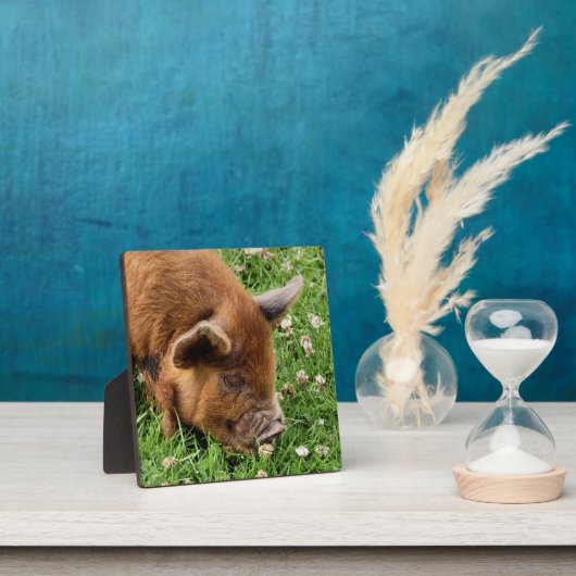 CUTE PIG FOTOPLAAT (Insitu)