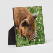 CUTE PIG FOTOPLAAT (Voorkant)