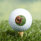 CUTE PIG GOLFBALLEN (Insitu Shirt)