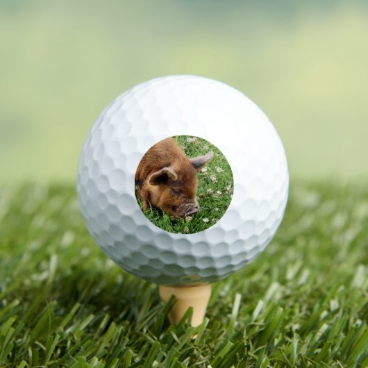 CUTE PIG GOLFBALLEN (Insitu Shirt)