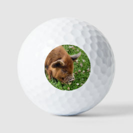 CUTE PIG GOLFBALLEN