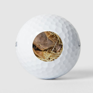 CUTE PIG GOLFBALLEN