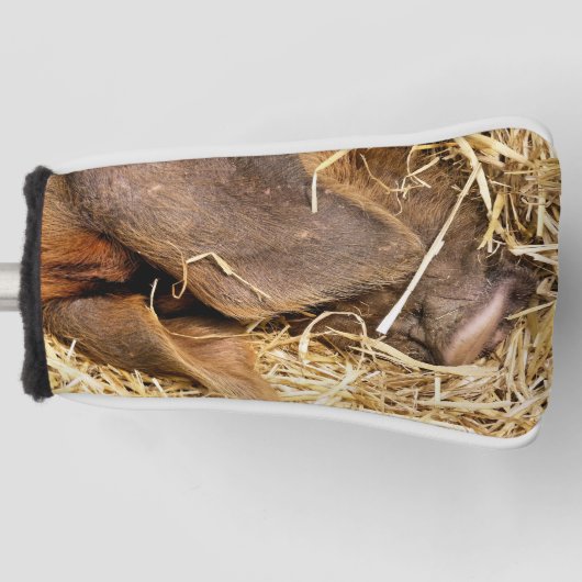 CUTE PIG GOLFHEADCOVER (Voorkant)