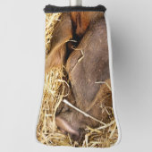 CUTE PIG GOLFHEADCOVER (Draai 90)