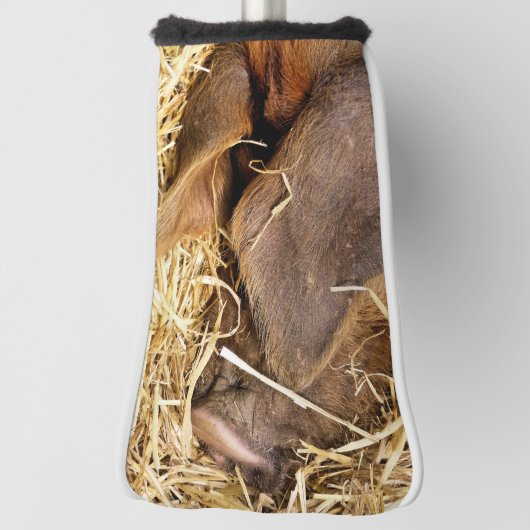 CUTE PIG GOLFHEADCOVER (Draai 90)