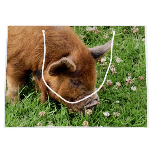 CUTE PIG GROOT CADEAUZAKJE (Voorkant)