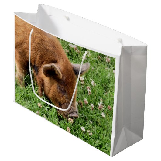 CUTE PIG GROOT CADEAUZAKJE (Voorkant Gekanteld)