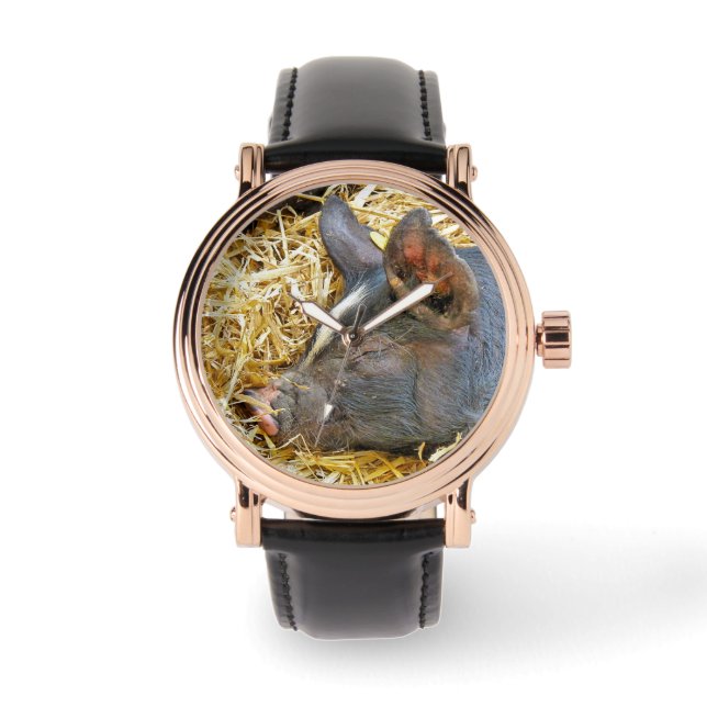 CUTE PIG HORLOGE (Voorkant)