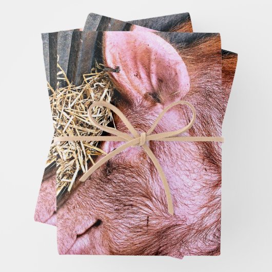 CUTE PIG INPAKPAPIER VEL (In situ)