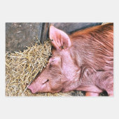 CUTE PIG INPAKPAPIER VEL (Voorkant)