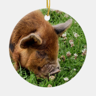 CUTE PIG KERAMISCH ORNAMENT