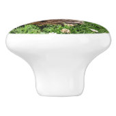 CUTE PIG KERAMISCHE KNOP (Zijkant)