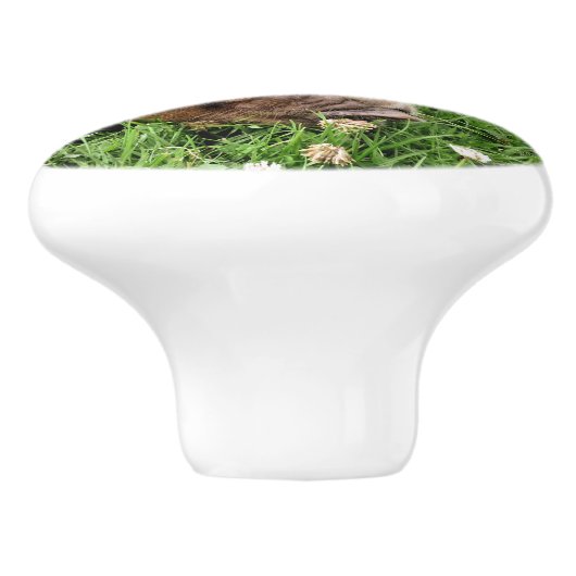 CUTE PIG KERAMISCHE KNOP (Zijkant)