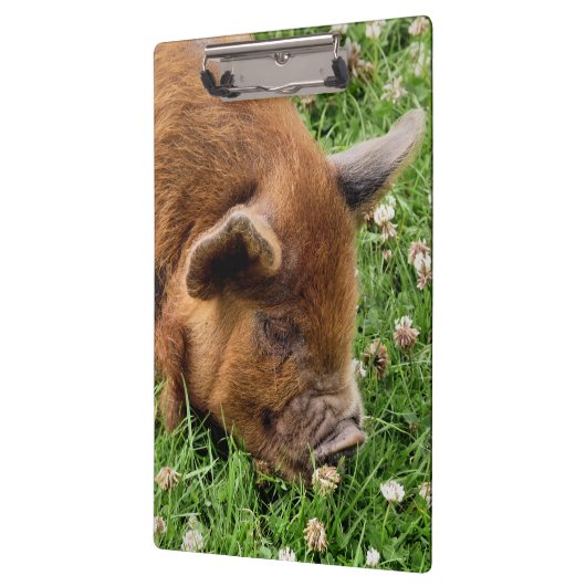 CUTE PIG KLEMBORD (Links)