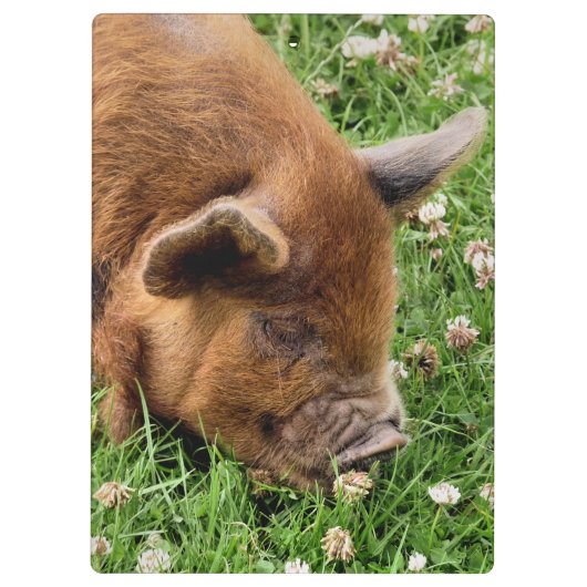 CUTE PIG KLEMBORD (Achterkant)