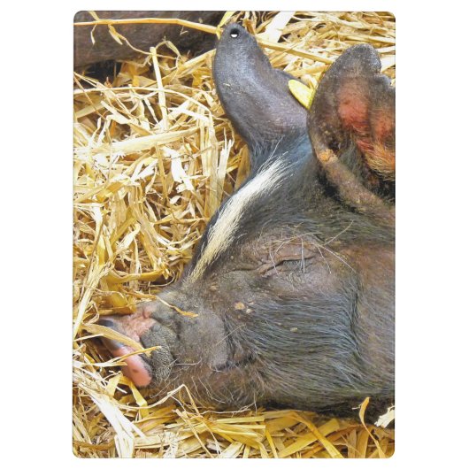 CUTE PIG KLEMBORD (Achterkant)