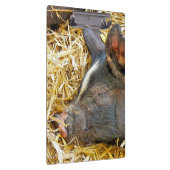 CUTE PIG KLEMBORD (Rechts)